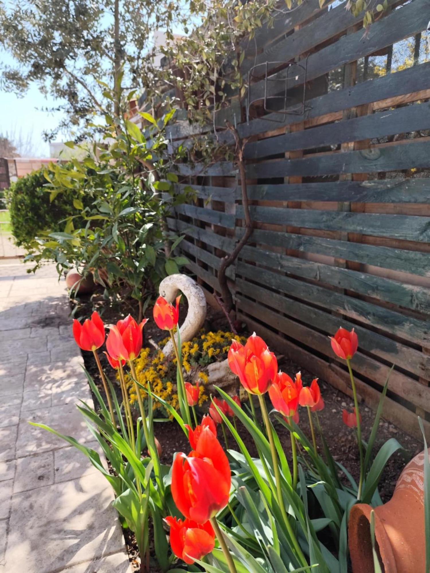 Mary'S Cozy Apartment Alexandroupoli Exterior foto